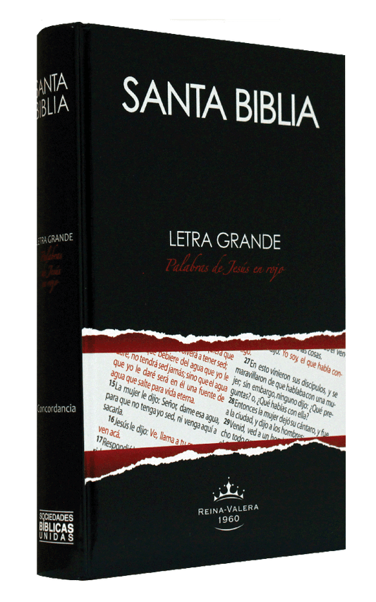 Biblia Reina Valera 1960 Mediana Letra Grande Tapa Dura Negro