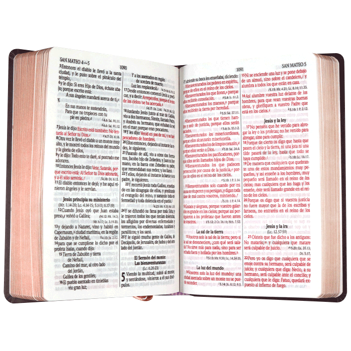 Biblia Reina Valera 1960 Mediana Letra Gigante Tapa Dura Rosas