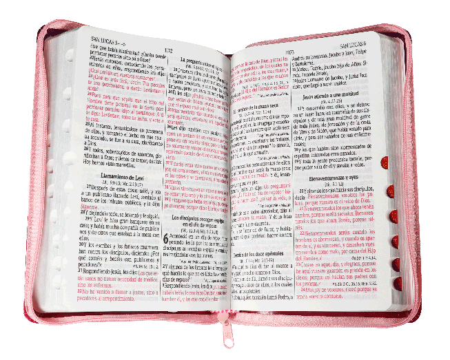 Biblia Reina Valera 1960 Mediana Letra Grande Imitación Piel Morado Rosa