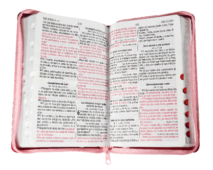 Biblia Reina Valera 1960 Mediana Letra Grande Imitación Piel Morado Rosa