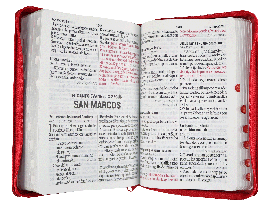 Biblia Reina Valera 1960 Mediana Letra Gigante Imitación Piel Rojo