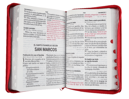 Biblia Reina Valera 1960 Mediana Letra Gigante Imitación Piel Rojo