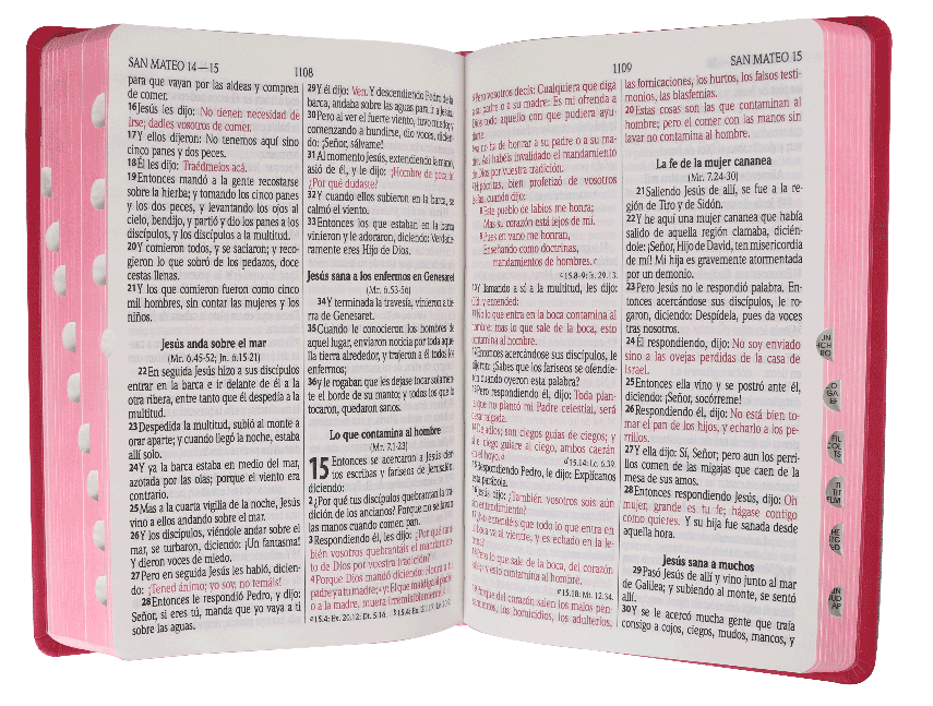 Biblia Reina Valera 1960 Mediana Letra Grande Imitación Piel Rosa