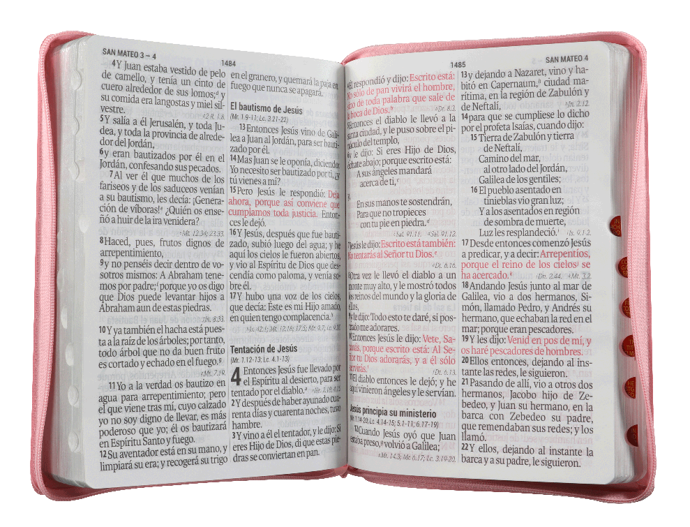 Biblia Reina Valera 1960 Grande Letra Supergigante Imitación Piel Rosa Fucsia