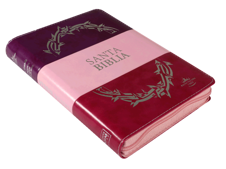 Biblia Reina Valera 1960 Mediana Letra Grande Imitación Piel Morado Rosa