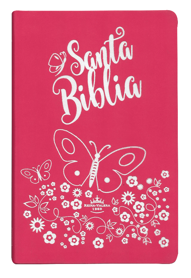 Biblia Reina Valera 1960 Mediana Letra Grande Imitación Piel Rosa