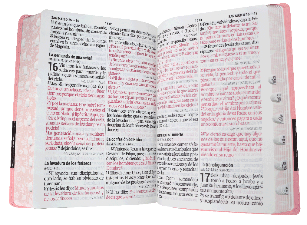 Biblia Reina Valera 1960 Grande Letra Supergigante Imitación Piel Rosa