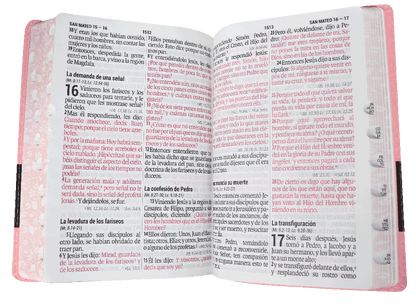 Biblia Reina Valera 1960 Grande Letra Supergigante Imitación Piel Rosa